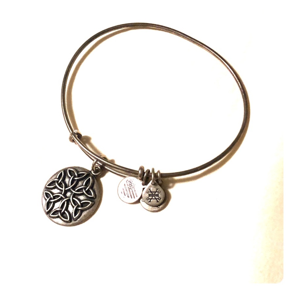 Silver ALEX AND ANI bangle